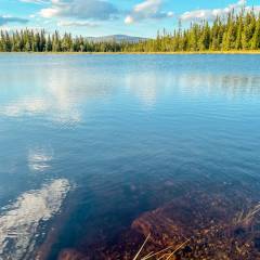 Wanderung zum Bergsee Gråhögtjärnen