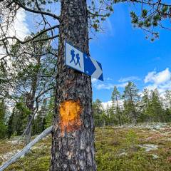 Wir markieren den Wanderweg zum Galberget mit frischer Farbe