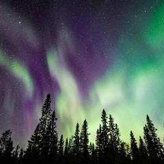 Beeindruckend starke Polarlichter im Herbst