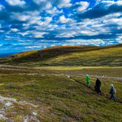 Wandern bei Gräftåvallen