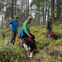 Wandern und Blaubeerpflücken am Galberget