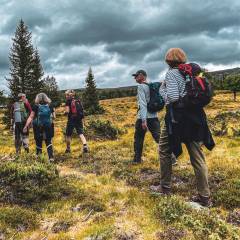 Wanderung nach Östra Arådalen