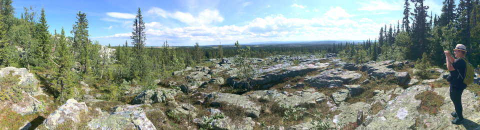 Galå Fjällgård panorama